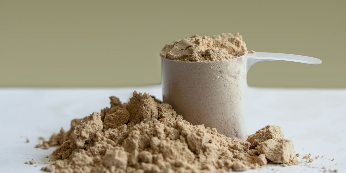 whey protein for muscle gain